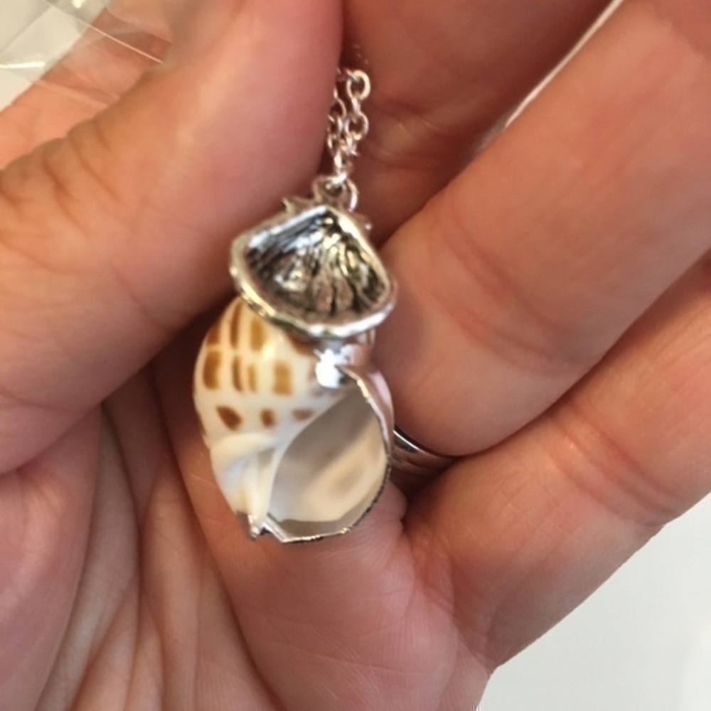 CLAM SHELL AND CONCH SHELL PENDANT NECKLACE - Picture 6 of 9